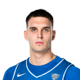 Aleksa Vlajic