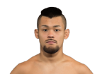 Motonobu Tezuka