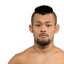 Motonobu Tezuka