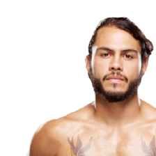 Marco Beltran