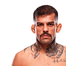 Pedro Falcão