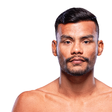 Raulian Paiva