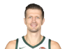 Mirza Teletovic headshot