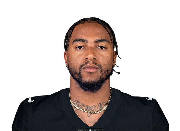 DeSean Jackson Looking To Provide 'Spark' For Ravens With 'Big, Explosive  Plays' - PressBox