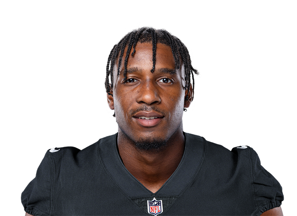 Terrace Marshall Jr. - Las Vegas Raiders Wide Receiver - ESPN (IN)