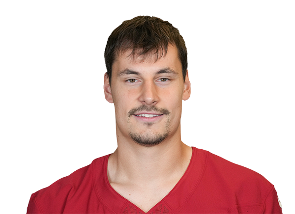 Arizona Cardinals tight end Bernhard Seikovits (43), of Austria