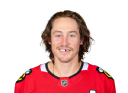 Tyler Bertuzzi