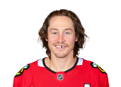 Tyler Bertuzzi