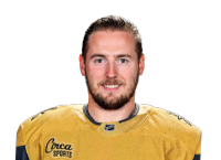 Ivan Barbashev headshot