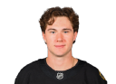 Fraser Minten