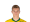 Zian Flemming