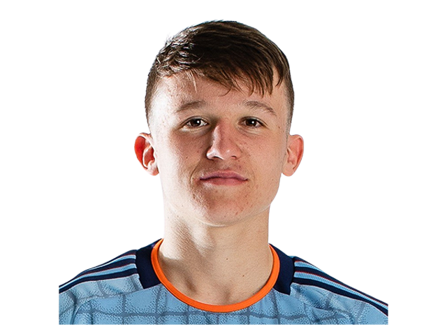 Mitja Ilenic