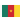 Cameroon flag