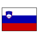 Slovenia flag
