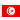 Tunisia flag