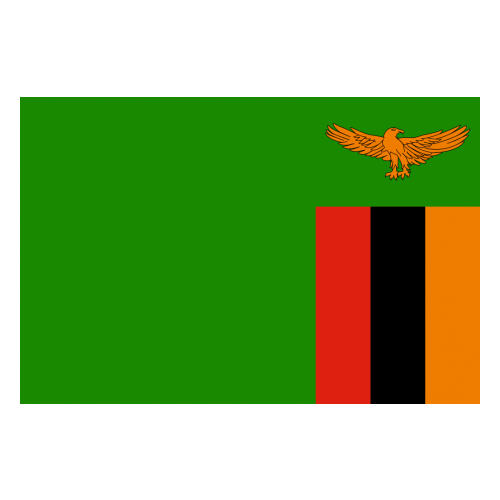 Zambia Cricket Team Scores, Matches, Schedule, News, Players