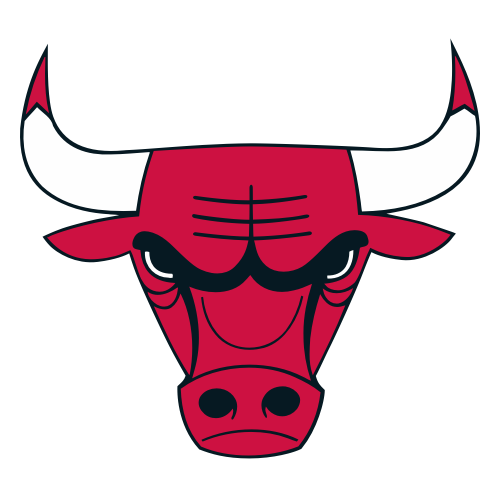 chicago bulls roster 2008