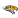 Towson crest