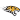 Towson Tigers crest