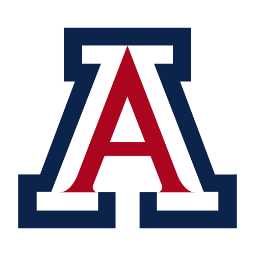 Arizona Wildcats 2024 College Football Players Stats ESPN