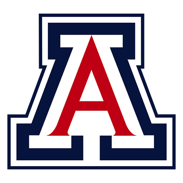 Arizona Wildcats · provider identity