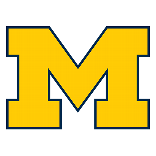 Michigan Wolverines · provider identity