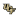 UCF Knights crest