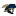 Charleston Southern Buccaneers crest