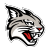 Davidson Wildcats crest