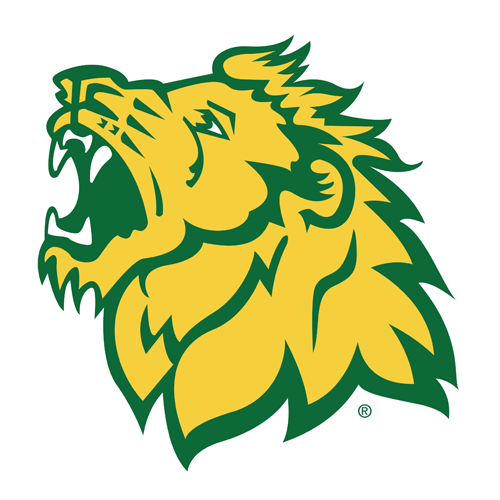 Missouri Southern State University Lions MSSU Vive La Fete Game