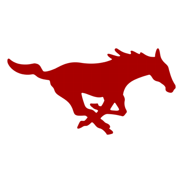 SMU Mustangs · provider identity