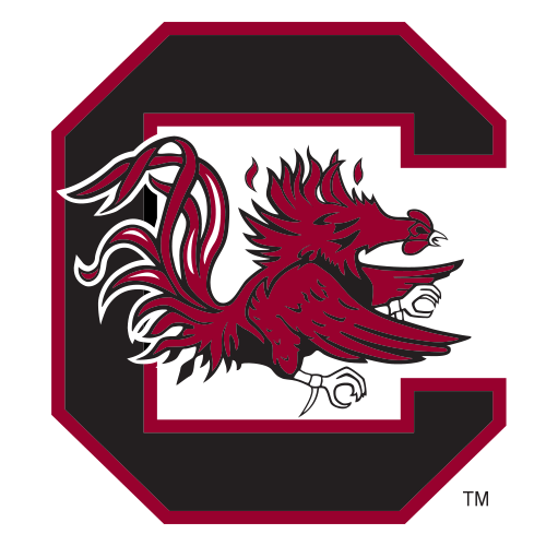 South Carolina Gamecocks Women S Basketball Roster Espn