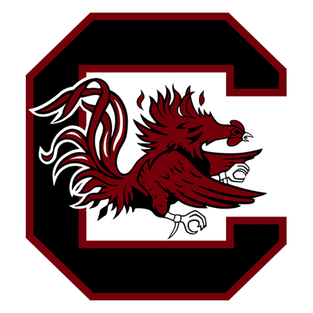 South Carolina Gamecocks · provider identity