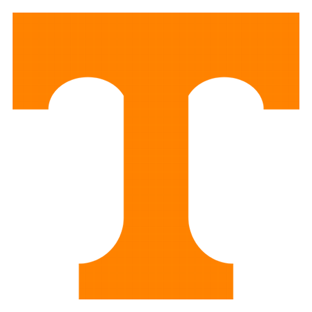 Tennessee Volunteers · provider identity