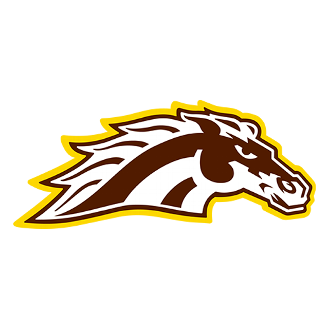Western Michigan Broncos · provider identity