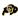 Colorado crest