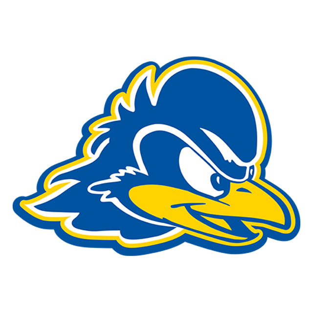 Delaware Blue Hens · provider identity