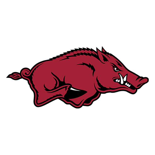 Arkansas Razorbacks · provider identity