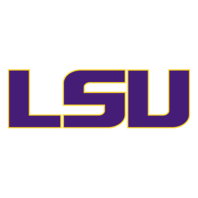 LSU Tigers · provider identity