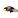 Ravens crest