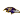 Baltimore Ravens crest