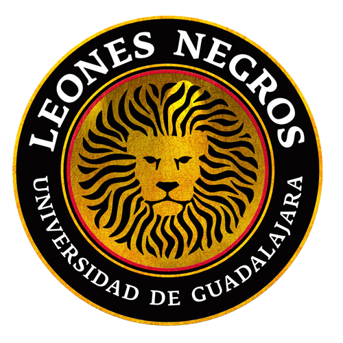 Top 89+ imagen resultados de leones negros