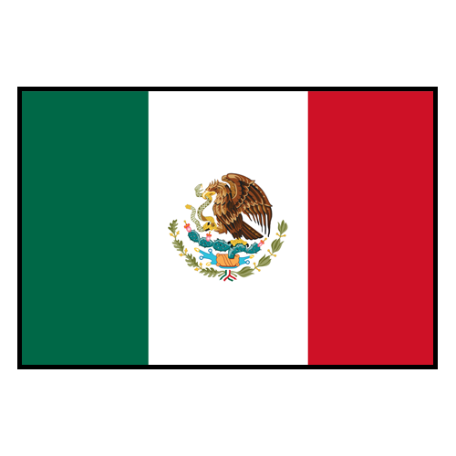 Mexico National Team 2022-23 Qatar World Cup Santiago Gimenez #9