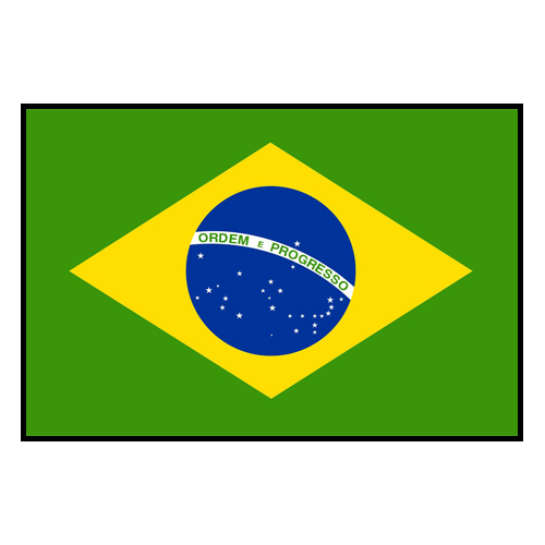 Brazil Roster Soccer