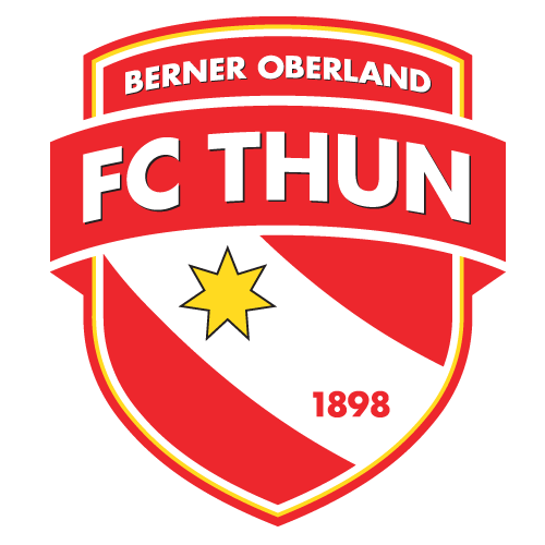 Ghana national football team logo
