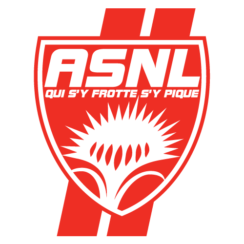 AS Nancy Lorraine Soccer - AS Nancy Lorraine News, Scores, Stats, Rumors &  More