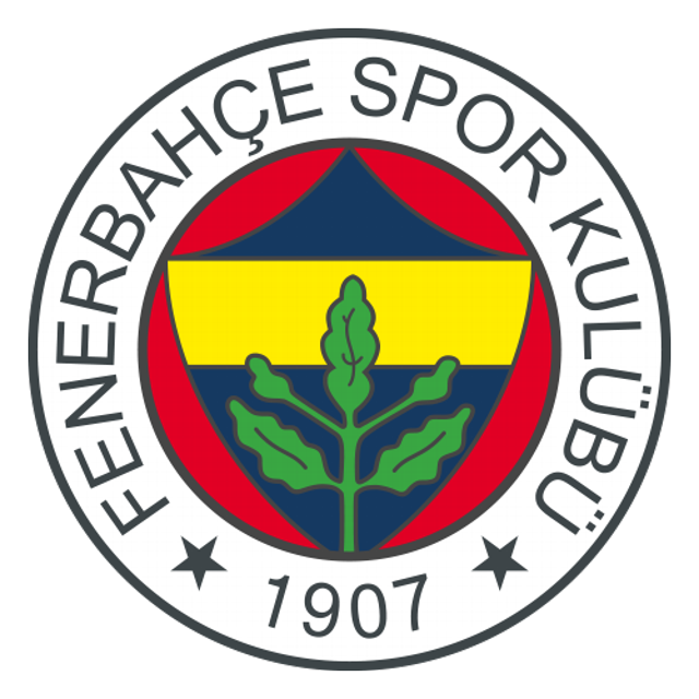 Fenerbahce · provider identity