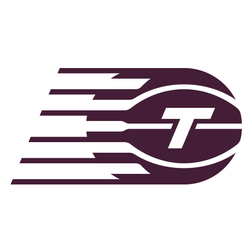 Toronto Tempo Logo