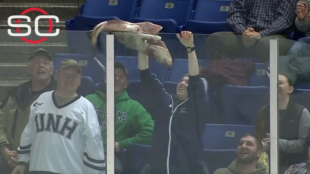 Fan's epic fish fail ESPN Video