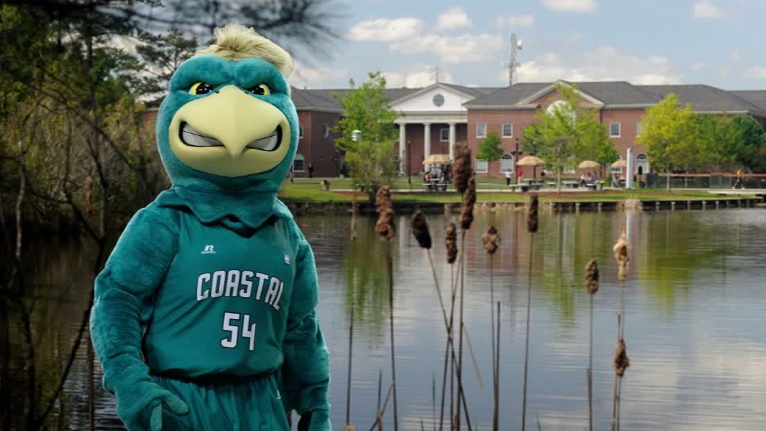 what-exactly-is-a-chanticleer-espn-video